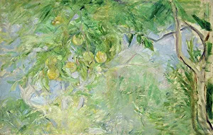 Morisot Prints: Branches d'oranger, 1889. Creator: Morisot, Berthe (1841-1895)
