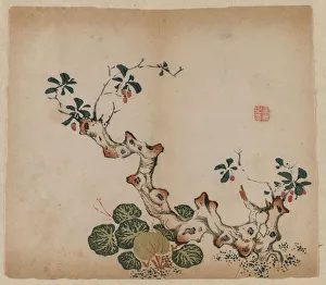 1368 1644 Prints: Branching Stump, 1368-1644. Creator: Unknown