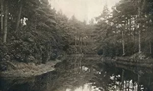 Valley Collection: Branksome Chine and Lake, c1910
