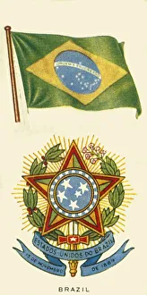 Coffee Tree Collection: Brazil, c1935. Creator: Unknown