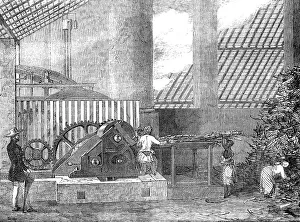 Mechanisation Prints: Brazilian Sugar-Mill, 1854. Creator: Unknown