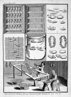 Liger Prints: The breeding of silk worms, 1775