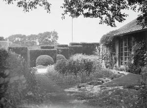 Weed Prints: Breese, James, Mr. residence and garden, 1933 Creator: Arnold Genthe