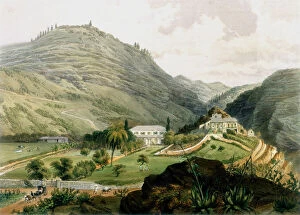 First Consul Bonaparte Collection: The Briars, St Helena, early 19th century (1851)