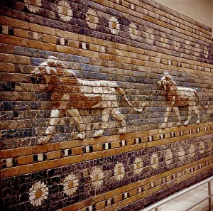 Sacred Prints: Brick relief of a lion on the walls of the Sacred Way leading to the Ishtar Gate