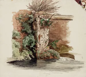 Gustaf Werner Holmberg Prints: Brick wall and climbing plant, 1848-1860. Creator: Werner Holmberg