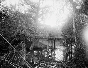 Undergrowth Prints: Bridge at Crucitas, between 1880 and 1897. Creator: William H. Jackson