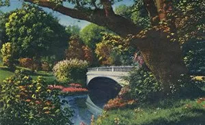 Curteich Chicago Collection: Bridge No. 5, Cherokee Park, 1942. Artist: Caufield & Shook