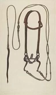 Bridle with Braided Rawhide Reins, c. 1937. Creator: Clyde L. Cheney