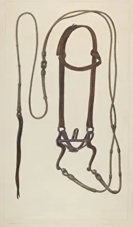 Equestrian Equipment Prints: Bridle with Braided Rawhide Reins, c. 1937. Creator: Clyde L. Cheney