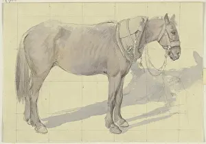 Harness Prints: Bridled horse, c1830-1872. Creator: Jakob Becker