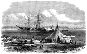 Custom House Prints: The brig Hetty Ellen discharging sections of Dr