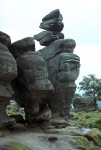 Sedimentary Rock Prints: Brimham Rocks