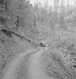 Bringing in load of logs late in the afternoon...Ola self-help co-op farm, Gem County, Idaho, 1939 Bringing in load of logs late in the afternoon...Ola self-help co-op farm, Gem County, Idaho, 1939
