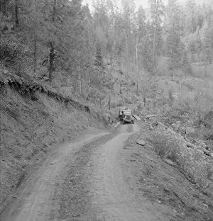 Bringing in load of logs late in the afternoon from the woods... Gem County, Idaho, 1939. Creator: Dorothea Lange