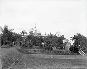 Brisbane City Botanic Gardens, 1910. Creator: Robert Augustus Henry L'Estrange.<br> Brisbane City Botanic Gardens, 1910. Creator: Robert Augustus Henry L'Estrange