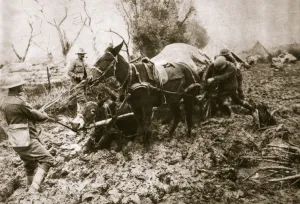 A British ammunition column finds it hard going, World War I, c1914-c1918. Artist