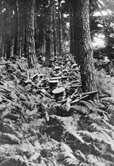Images Dated 10th January 2008: British infantry in a wood, First World War, 1914-1918, (c1920)