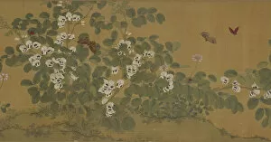 Images Dated 20th August 2021: Broad Bean Flowers and Butterflies, Ming dynasty, 15th century. Creator: Unknown