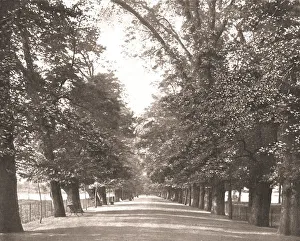 The Broad Walk, Oxford, 1894. Creator: Unknown