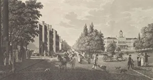 New York Prints: Broadway and City Hall in New York (Brodway-Gatan Och Radhuset i New York)
