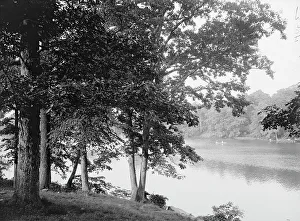 Riverfront Prints: Along the Bronx River, Bronx Park, New York, c1906. Creator: Unknown