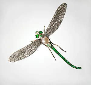 Platinum Prints: Brooch in the Form of a Dragonfly, End of 19th cen. Artist: Russian master