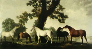 Berkshire Prints: Five Brood Mares at the Duke of Cumberlands Stud Farm in Windsor Great Park, 1765, (1944)