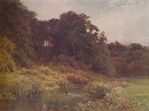 Brook Collection: A Brook, 1910. Artist: Harold Sutton Palmer