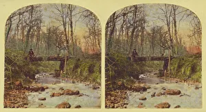 Fallen Tree Prints: The Brook that brawls along the Wood. 1857-1859. Creator: William Morris Grundy