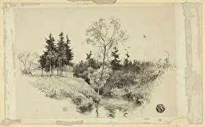 Brook Prints: Brook in Forest, n. d. Creator: Unknown