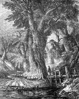 Flock Prints: The Brook - painted by George Chester - from the Exhibition of the National Institution