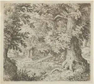 Stream Prints: The Brook in the Wood, 17th century. Creator: Allart van Everdingen