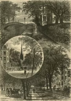 Brooklyn Collection: Brooklyn Street-Scenes, 1874. Creator: William Hamilton Gibson