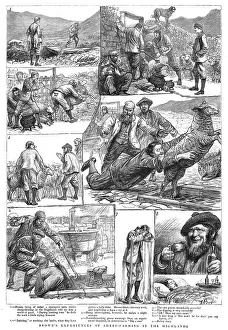 Brown's Experiences of Sheep - Farming in the Highlands, 1890. Creator: Unknown