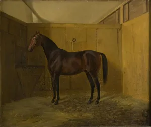 Bruno, 1848. Creator: Fritz Thomsen