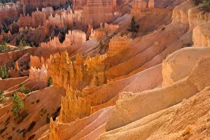 Steep Gallery: Bryce Canyon. Creator: Tom Artin