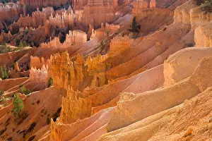 Tom Artin Prints: Bryce Canyon. Creator: Tom Artin