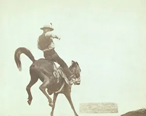 Grabill Prints: Bucking Bronco Ned Coy, a famous Dakota cowboy