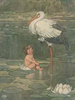 Stork Gallery: The Bud Opened Into A Full-Blown Flower, c1930. Artist: W Heath Robinson