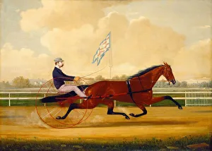 Pony And Trap Prints: Budd Doble Driving Goldsmith Maid at Belmont Driving Park, 1876. Creator: Charles S