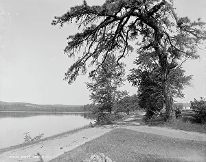 Budd's Lake, N.J. between 1900 and 1906. Creator: Unknown