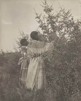 Edible Prints: Buffalo berry gatherers-Mandan, c1908. Creator: Edward Sheriff Curtis
