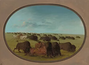 Incident Gallery: Buffalo Chase, with Accidents, 1861 / 1869. Creator: George Catlin