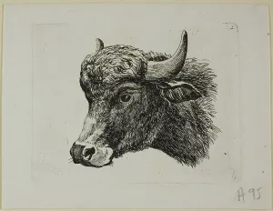 Buffalo Prints: Buffalo Head Facing Left, from Die Zweite Thierfolge
