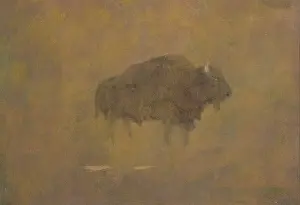 Buffalo Prints: Buffalo in a Sandstorm, 19th century. Creator: Albert Bierstadt