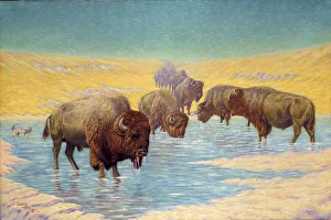 Plains Collection: Buffalo Scene, 1922. Creator: Emil W. Lenders
