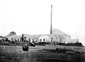 Goldmine Prints: The Buffelsdoorn Mine: Battery-Buildings, 1895. Creator: A. Betton