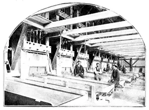 Goldmine Prints: The Buffelsdoorn Mine: the Battery-Room, 1895. Creator: A. Betton