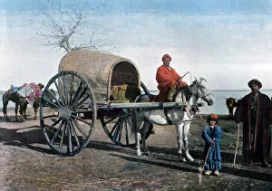 Bukhara wagon, Uzbekistan, c1890. Artist: Gillot